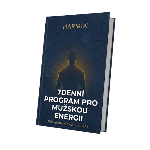 7-Dnevna E-Knjiga o Moški Energiji